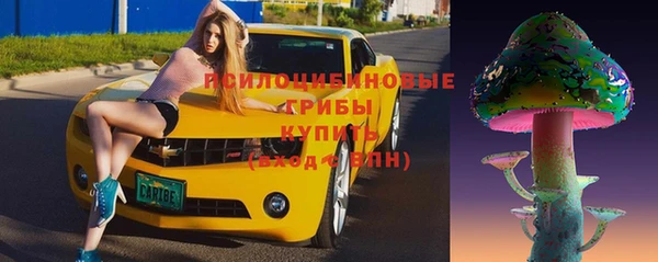 марки nbome Бородино