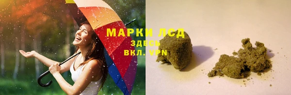 гашик Богданович