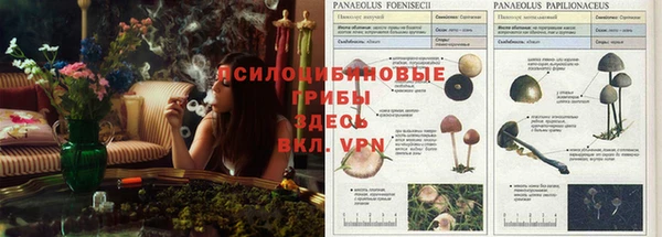 марки nbome Бородино